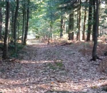 Saint-Calais-du-Desert House | La Grange