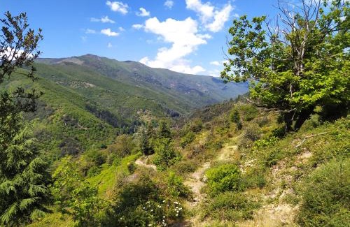 Valleraugue Bed & Breakfast | La Grenouille