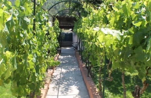 Contes House | La Josyve - CONTES - Gîte