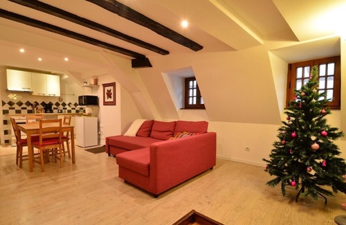 Riquewihr Apartment | LA LISIÈRE - Warm Alsatian gîte, view of the vineyard.