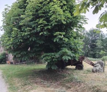 Ambon House | La longére du Lesty