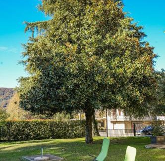 Calolziocorte House | La Magnolia