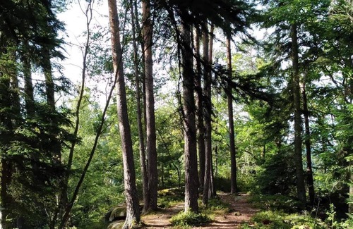 Saint-Michel-sur-Meurthe Bed & Breakfast | La Maison VJM - Table Végétarienne