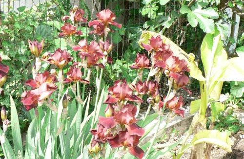 Nanteuil-la-Foret Bed & Breakfast | la Maison d'Arbouet