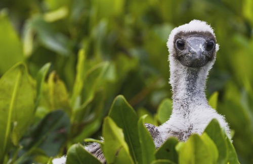 Le Pontet House | La Maison De Rose En Provence