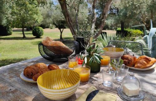 Lunel Bed & Breakfast | La Maison l'Oliveraie