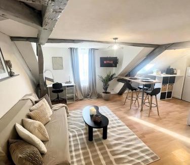 Brive-la-Gaillarde Apartment | La Mansarde - Cœur Historique, Charme et Confort