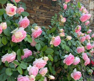 La Jaille-Yvon Bed & Breakfast | La Moulinière, jolie longère du XVIIè 25, chemin de la Source