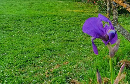 Vitot House | La P'tite Maison, Joli Gîte au Charme Normand