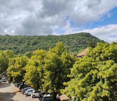 Saint-Antonin Noble Val Apartment | La petite maison