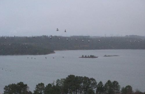 Morcenx House | La Petite Mongesse