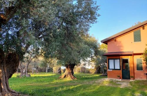 Amica Bed & Breakfast | La Piana degli Ulivi