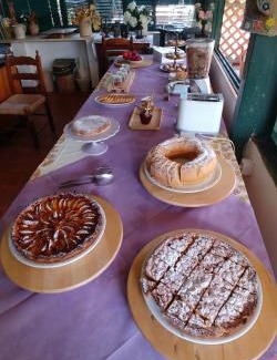 Amica Bed & Breakfast | La Piana degli Ulivi