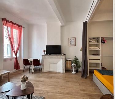 La Conception Apartment | La plaine - T1BIS- Clim