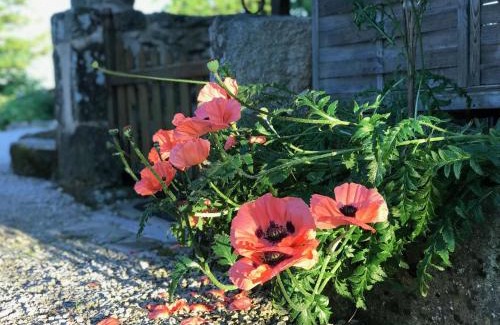 Lacam-d'Ourcet House | La Porcherie