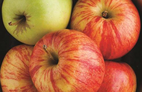 Clifton Park Hotel | La Quinta Inn & Suites by Wyndham Clifton Park Saratoga Area 1749 Route 9