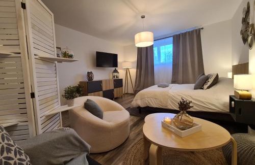 Buhl-Lorraine Bed & Breakfast | La suite Volupté - SPA du Souffle du Saule