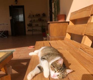 Fiano Romano House | La tana dei Ricci