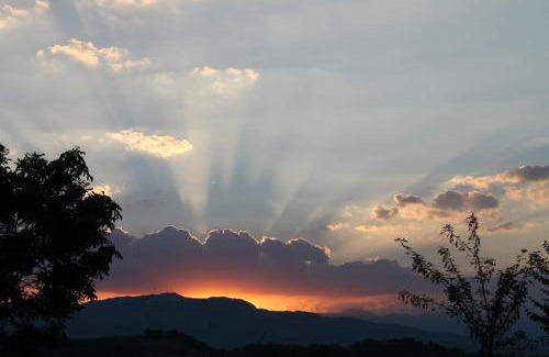 Arsita House | La via del parco