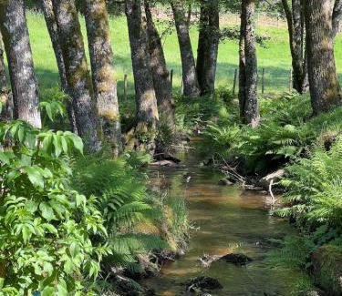 Saint-Julien-le-Petit House | Lac de Vassivière Petite maison à proximité