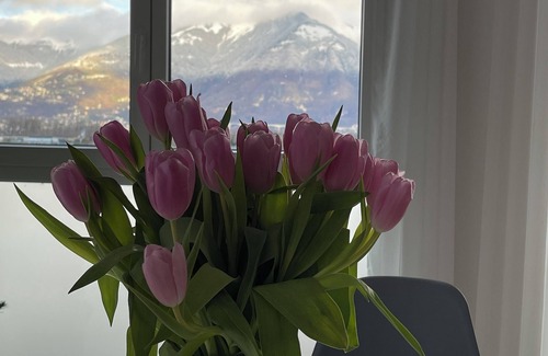 Bouveret Apartment | Lac Leman Apartment