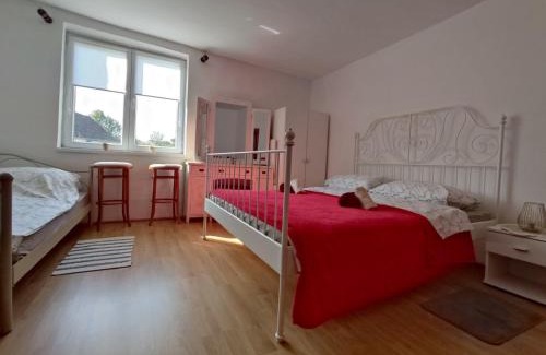 Erdut Apartment | Ladanjska kuća Magistra Erdut