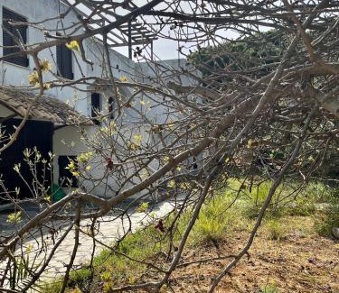 Lagonissi House | Lagonisi