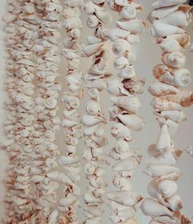 Michamvi Hotel | Laguna Palace Resort