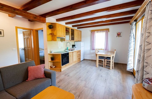 Metlika House | LAHINJA & KOLPA RIVER APARTMENT up to 8 pax, heated pool, sauna, jacuzzi