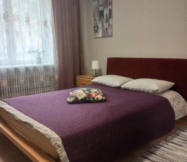 Visaginas Apartment | Lake apartment