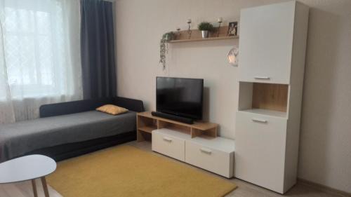 Visaginas Apartment | Lake apartment