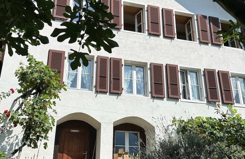 Niederried bei Interlaken Villa | Lakeview Authentic Swiss Chalet near Interlaken
