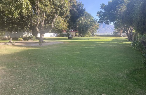 San Juan Cosala House | Lake front 3 bedroom house with a very big garden.