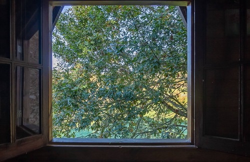 Albergaria-a-Velha Cabin | Lake House - The lake House