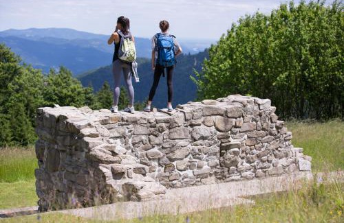 Ribnica na Pohorju Apartment | Lake Peak Apartments, Ribniško Pohorje