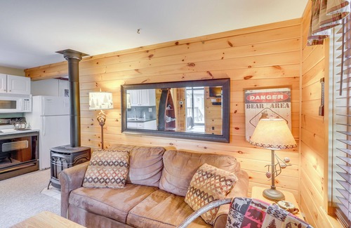 Speculator Cabin | Lake Pleasant Cabin on 3 Acres w/Private Beach!