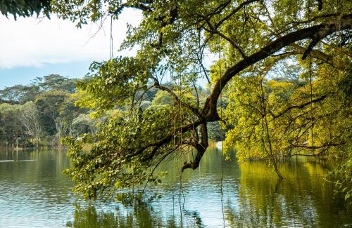 Arusha Apartment | Lake Whispering Home - Bathtub - Breakfast - Lake Path