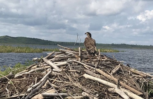 Loon Lake House | Lakefront Cabins for Rent, with private marina - Cabin 7