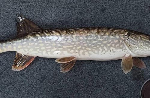 Howard Lake House | Lakefront Hideaway