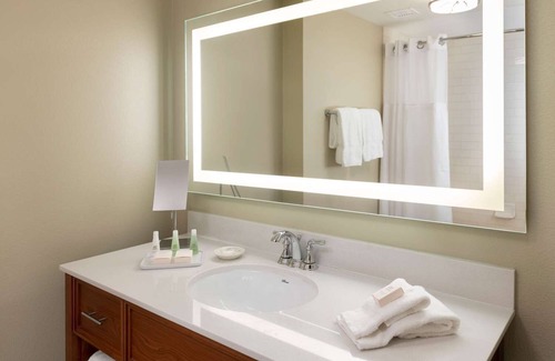 Roanoke Cabin | Lakeview Room | King + Sofa | Pets Allowed