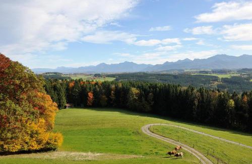 Rimsting House | Lamplhof