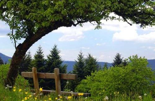 Wolfach - Saint Roman House | Landeckhof