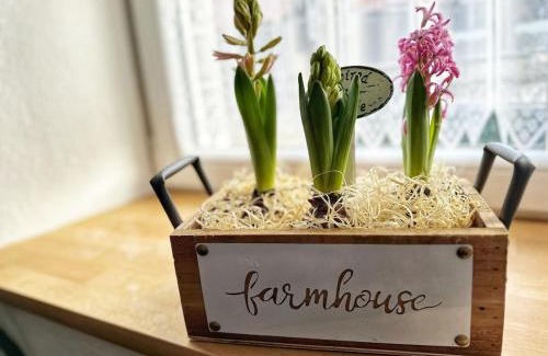 Kisslegg Apartment | Landhof Riehlingshöhe