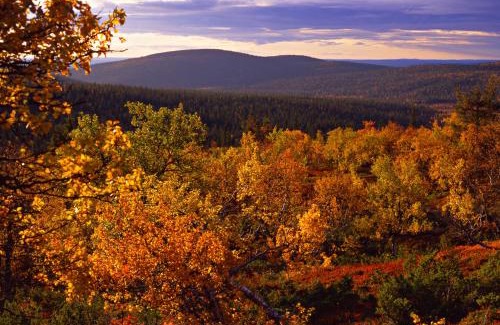 Akaslompolo Hotel | Lapland Hotels Ylläskaltio