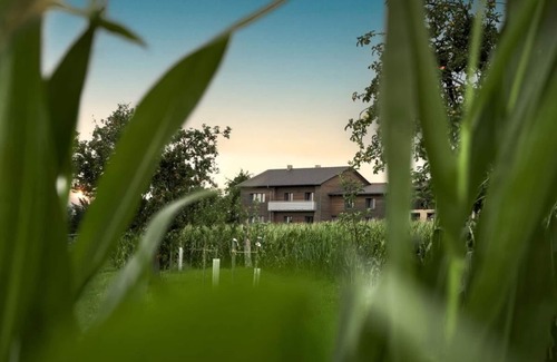 Simprechtshausen House | Large vacation home - edge of the village, fenced garden, fireplace, sauna. 5 dogs welcome!