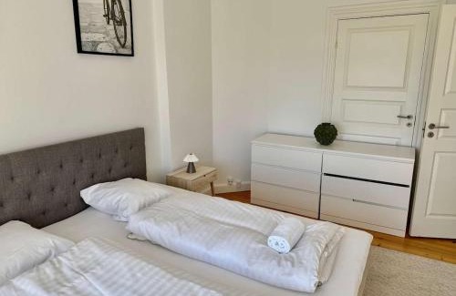 Frederiksberg C Apartment | Large Copenhagen Apartment for Groups and Families