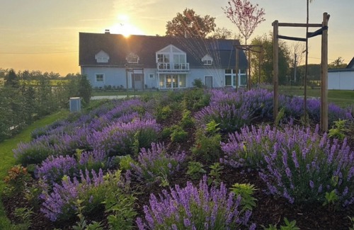 Frohburg House | Large country house with pool & fireplace - 30 min. Leipzig.