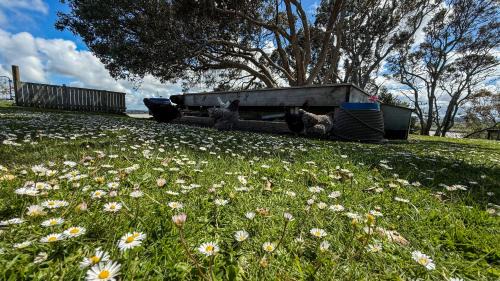 Te Kopuru Villa | Large riverfront home with spa and stage