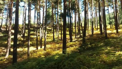 La Pradera de Navalhorno Apartment | Las cabañas de valsain