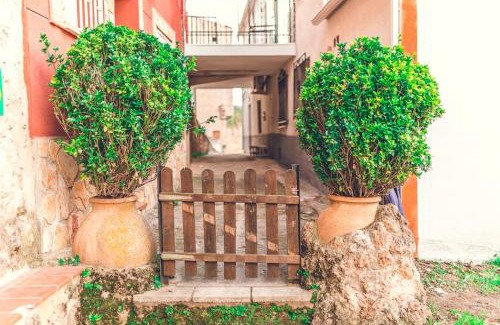 Los Alejos House | Las Casicas del Tío Ángel-B